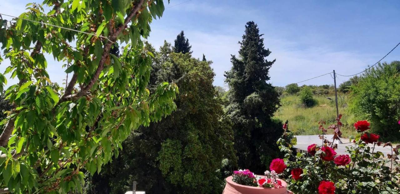 Green View Apartment Ágios Pétros Екстериор снимка